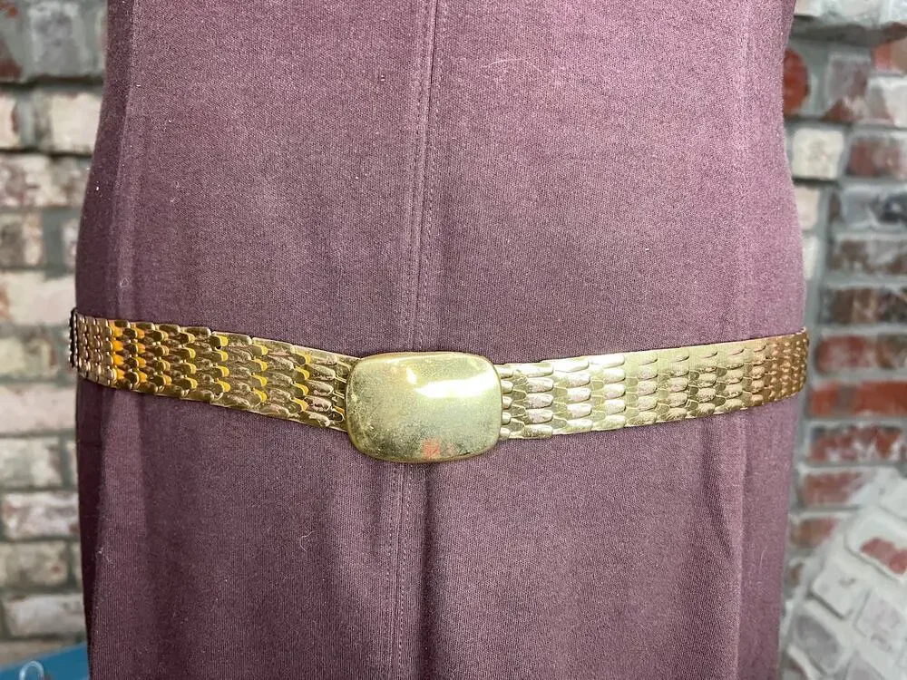 belt fish scale gold elastic